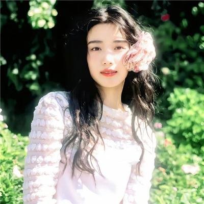 完美伴侣